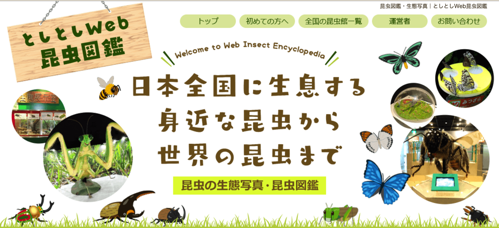 としとしWeb昆虫図鑑